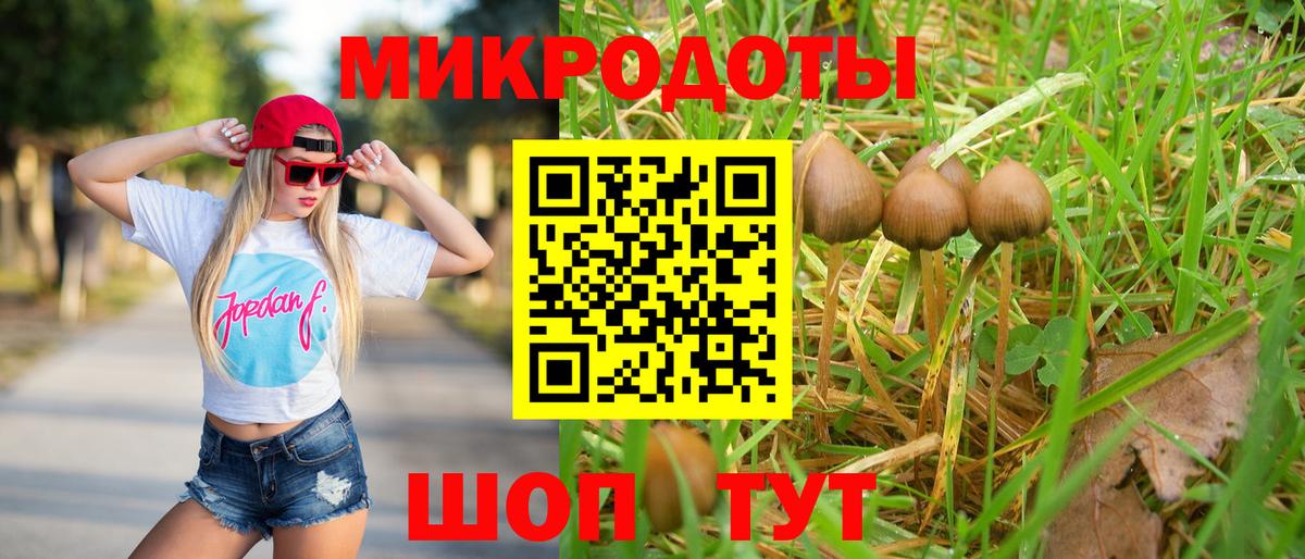 Новозыбков  Псилоцибиновые грибы прущие грибы  Вход с VPN  Галлюциногенные грибы Cubensis 