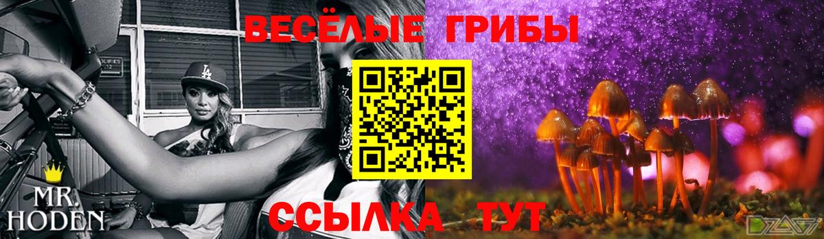 Псилоцибиновые грибы Magic Shrooms Новозыбков