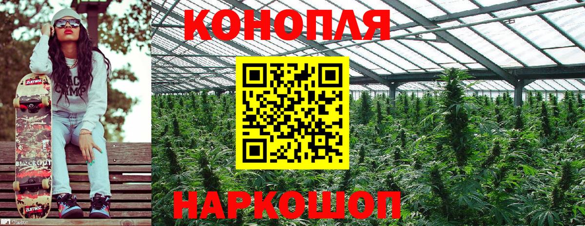 Конопля White Widow  Шишки марихуана Amnesia  Каннабис THC 21%  Новозыбков  Вход с VPN 